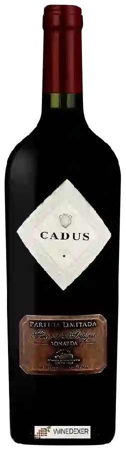 Winery Nieto Senetiner - Cadus Finca Las Tortugas Bonarda Partida Limitada