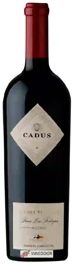 Winery Nieto Senetiner - Cadus Finca Las Tortugas Malbec (Single Vineyard)