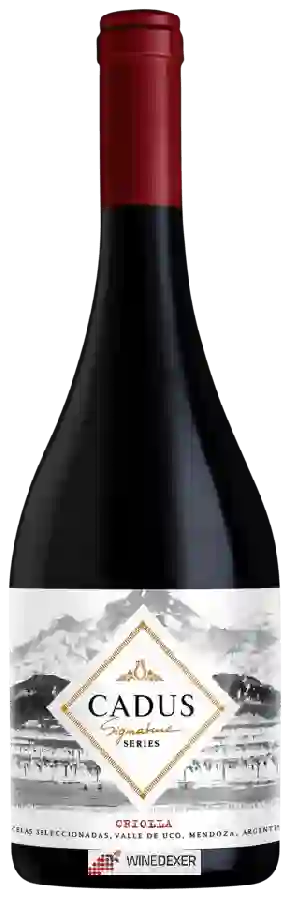 Winery Nieto Senetiner - Cadus Signature Series Criolla Winery Nieto Senetiner - Cadus Signature Series Criolla