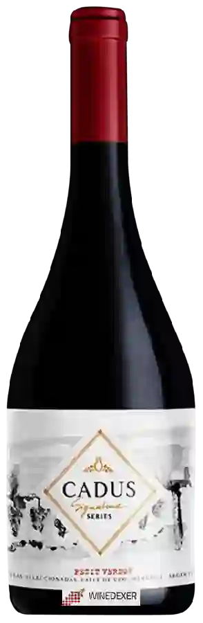 Winery Nieto Senetiner - Cadus Signature Series Petit Verdot