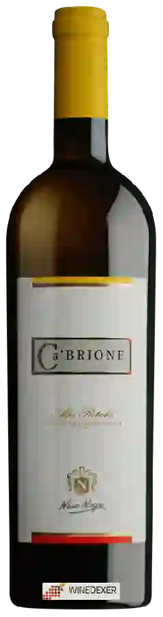 Winery Nino Negri - Ca' Brione Alpi Retiche di Sondrio Winery Nino Negri - Ca' Brione Alpi Retiche di Sondrio