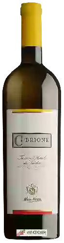 Winery Nino Negri - Ca' Brione Terrazze Retiche di Sondrio