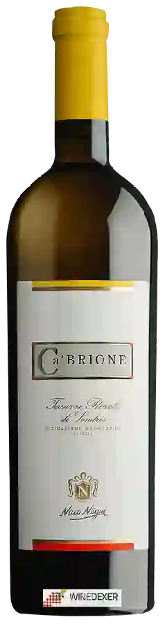 Winery Nino Negri - Ca' Brione Terrazze Retiche di Sondrio Winery Nino Negri - Ca' Brione Terrazze Retiche di Sondrio