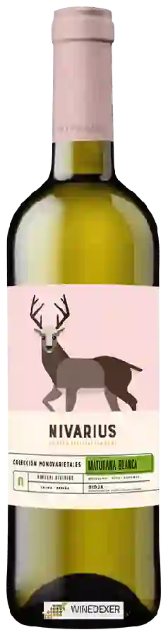 Winery Nivarius - Maturana Blanca Winery Nivarius - Maturana Blanca