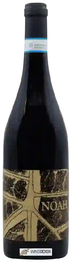 Winery Noah - Coste della Sesia Dellamesola Winery Noah - Coste della Sesia Dellamesola