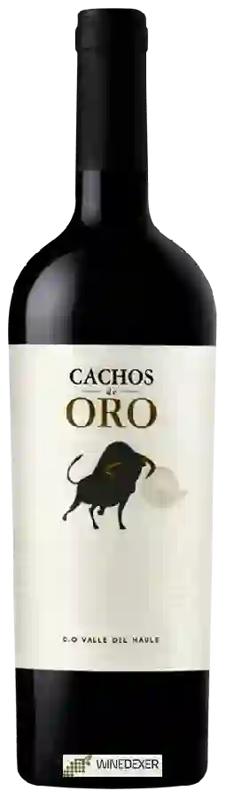 Winery Leyendas de Familia - Cachos de Oro Winery Leyendas de Familia - Cachos de Oro