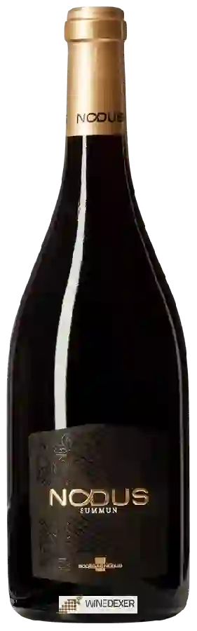 Bodegas Nodus - Summun