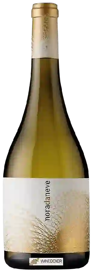 Winery Viña Nora - Nora da Neve