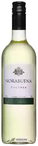 Winery Norabuena - Macabeo