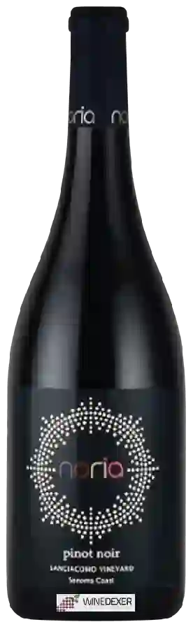 Winery Noria - Sangiacomo Vineyards Pinot Noir