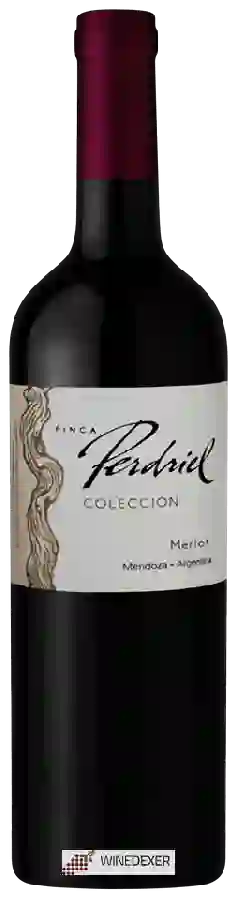Winery Norton - Finca Perdriel Colección Merlot