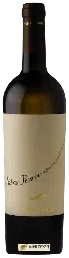 Winery Novelli - Pecorino Umbria