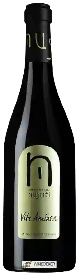 Winery Nugnes - Vite Aminea Winery Nugnes - Vite Aminea
