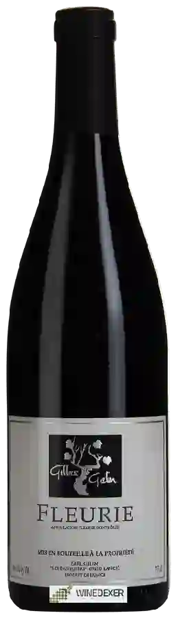 Domaine des Nugues - Gilles Gelin Fleurie Domaine des Nugues - Gilles Gelin Fleurie