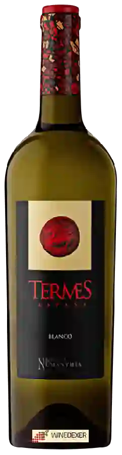 Winery Numanthia - Termes Blanco