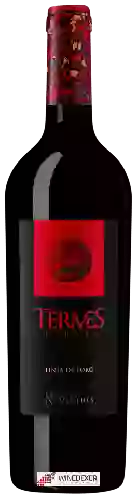 Winery Numanthia - Termes