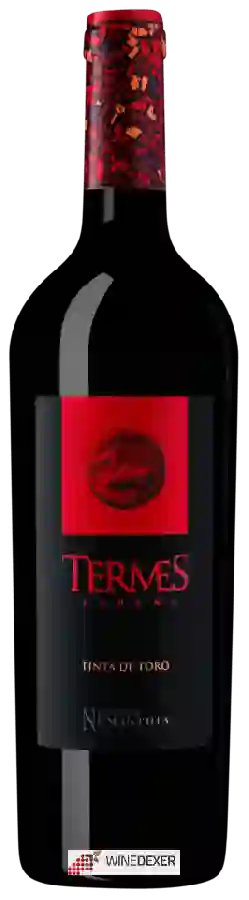 Winery Numanthia - Termes Winery Numanthia - Termes