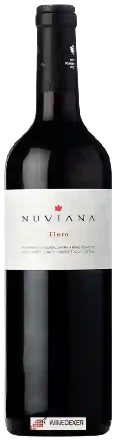 Winery Nuviana - Tinto