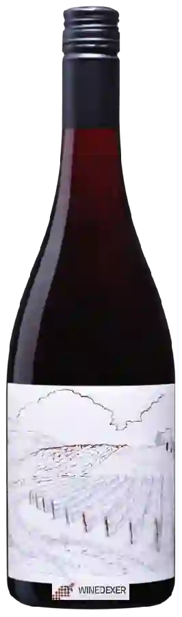 Winery Greystone - Ferment Pinot Noir