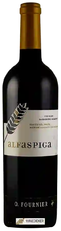 Winery O. Fournier - Alfa Spiga Ribera del Duero Winery O. Fournier - Alfa Spiga Ribera del Duero