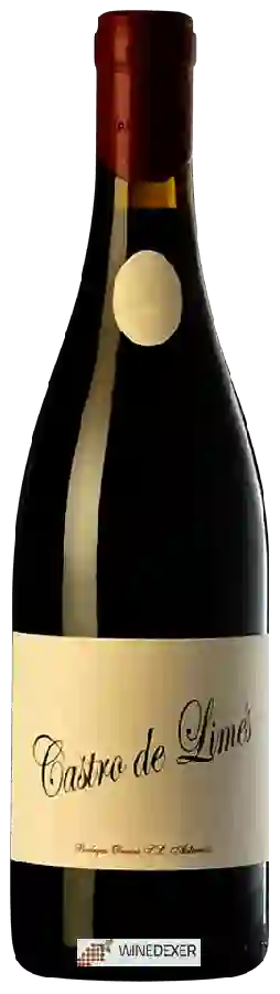 Winery Obanca - Castro de Limés Winery Obanca - Castro de Limés