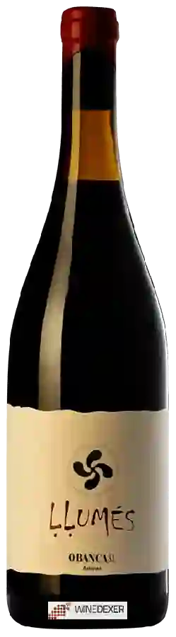 Winery Obanca - Llumés