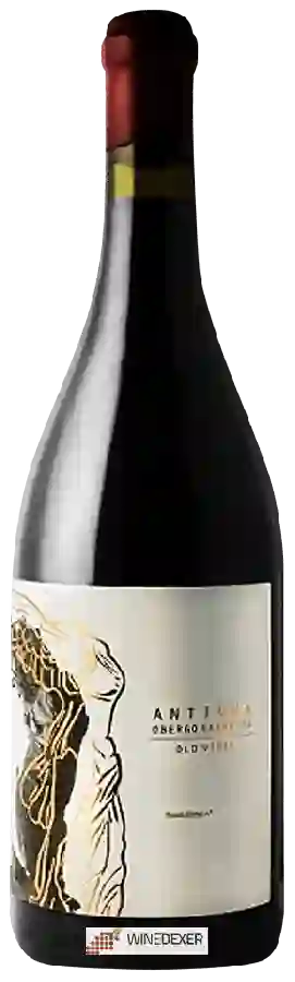 Bodegas Obergo - Antiqua Old Vines Garnacha