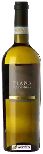 Winery Ocone - Diana Falanghina