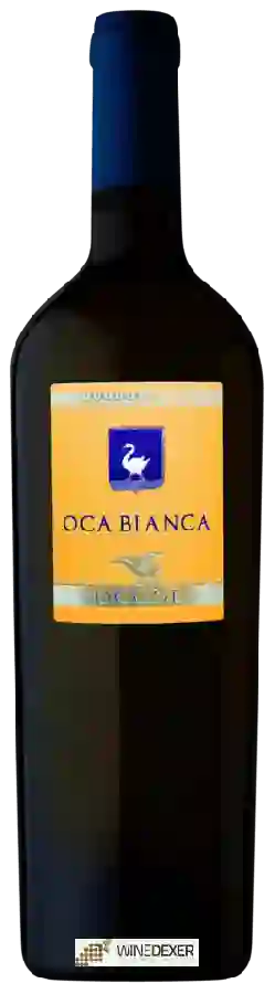 Winery Ocone - Oca Bianca