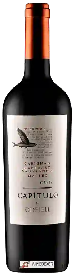 Winery Odfjell - Cap&iacutetulo Flying Fish