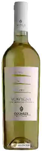 Winery Odoardi - Scavigna Bianco