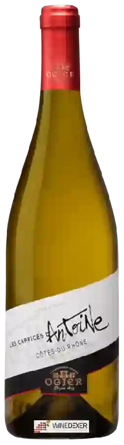 Winery Ogier - Les Caprices d'Antoine Côtes du Rhône  Blanc