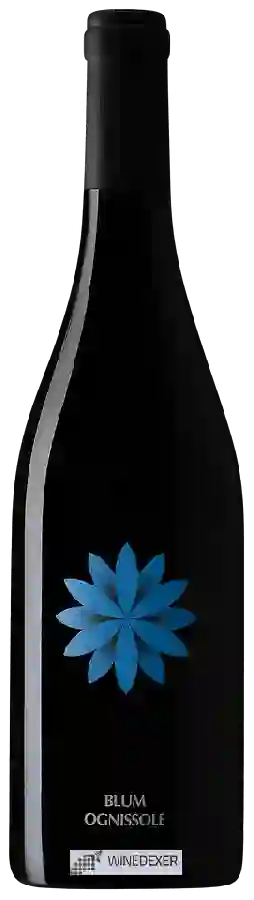 Winery Ognissole - Blum