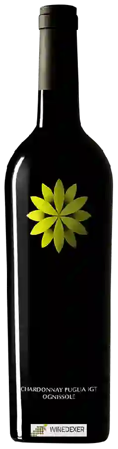 Winery Ognissole - Chardonnay Winery Ognissole - Chardonnay