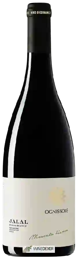 Winery Ognissole - Jalal Winery Ognissole - Jalal