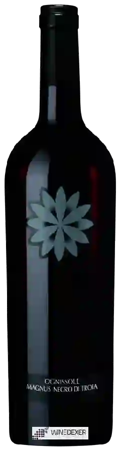 Winery Ognissole - Magnus Nero di Troia Winery Ognissole - Magnus Nero di Troia