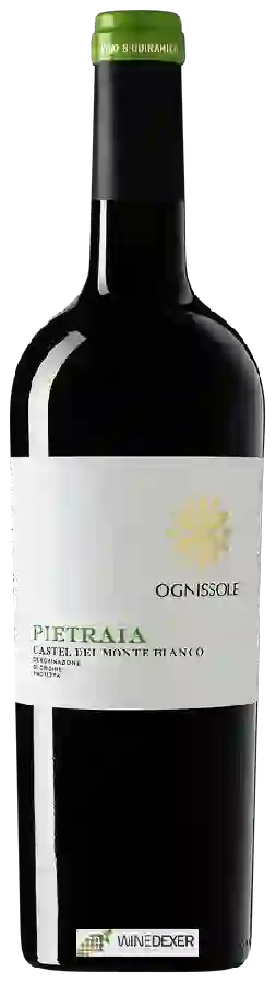 Winery Ognissole - Pietraia Winery Ognissole - Pietraia