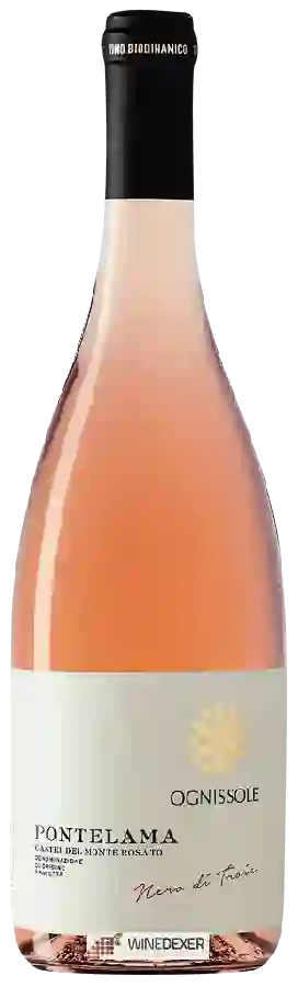 Winery Ognissole - Pontelama Rosé
