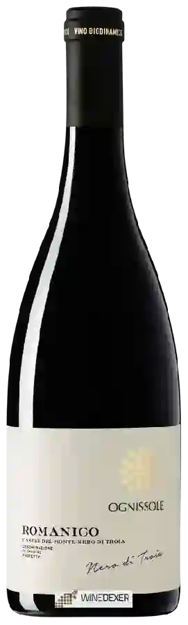 Winery Ognissole - Romanico