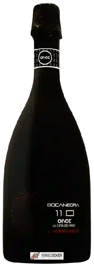 Winery Oinoe - 11.0 Bocanegra Lambrusco Winery Oinoe - 11.0 Bocanegra Lambrusco