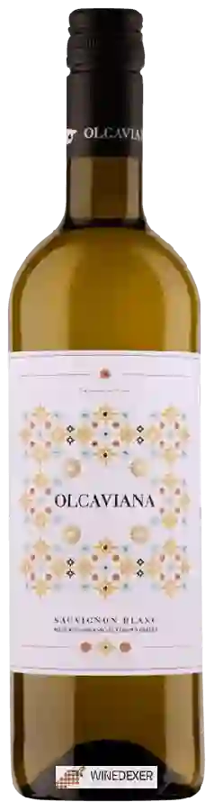 Winery Olcaviana - Sauvignon Blanc Winery Olcaviana - Sauvignon Blanc
