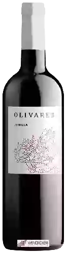 Winery Olivares - Joven