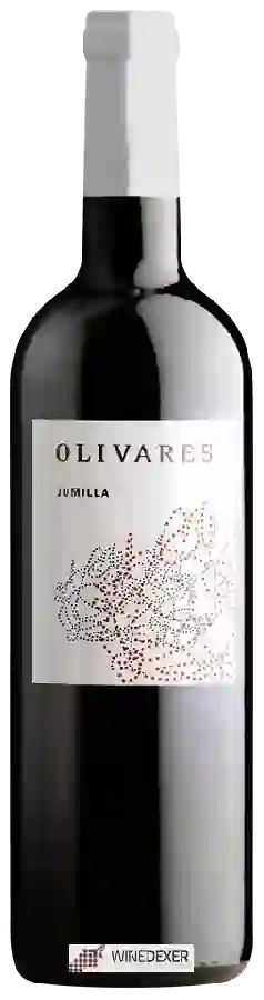 Winery Olivares - Joven Winery Olivares - Joven