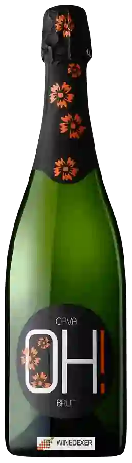 Winery Oliveda - Cava Oh! Brut
