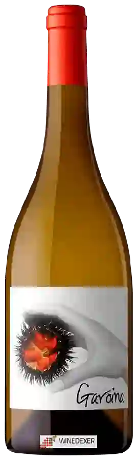 Winery Oliveda - Garoina