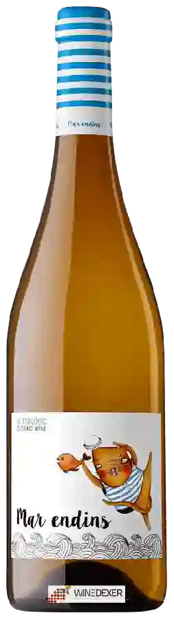 Winery Oliveda - Mar Endins Winery Oliveda - Mar Endins