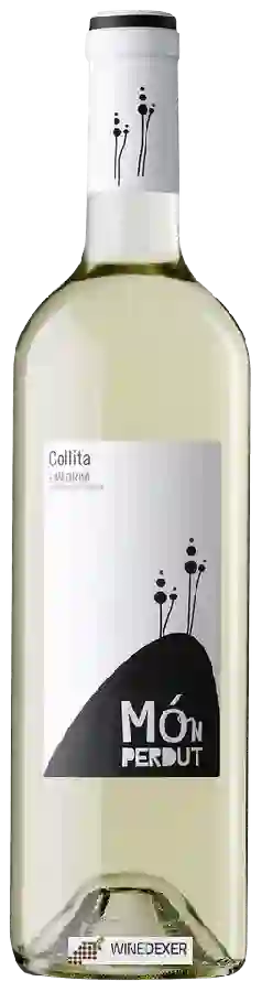 Winery Oliveda - Món Perdut Blanc
