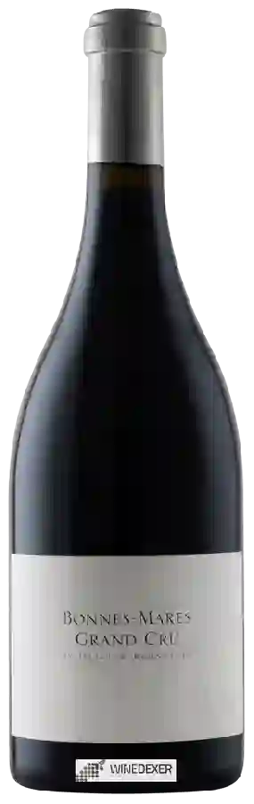 Winery Olivier Bernstein - Bonnes-Mares Grand Cru