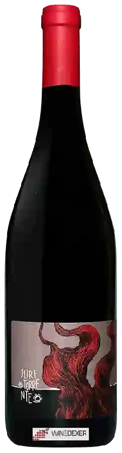 Winery Oltretorrente - Barbera Superiore Colli Tortonesi