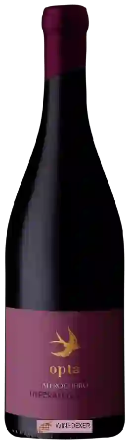 Winery Opta - Alfrocheiro Imperatriz Winery Opta - Alfrocheiro Imperatriz